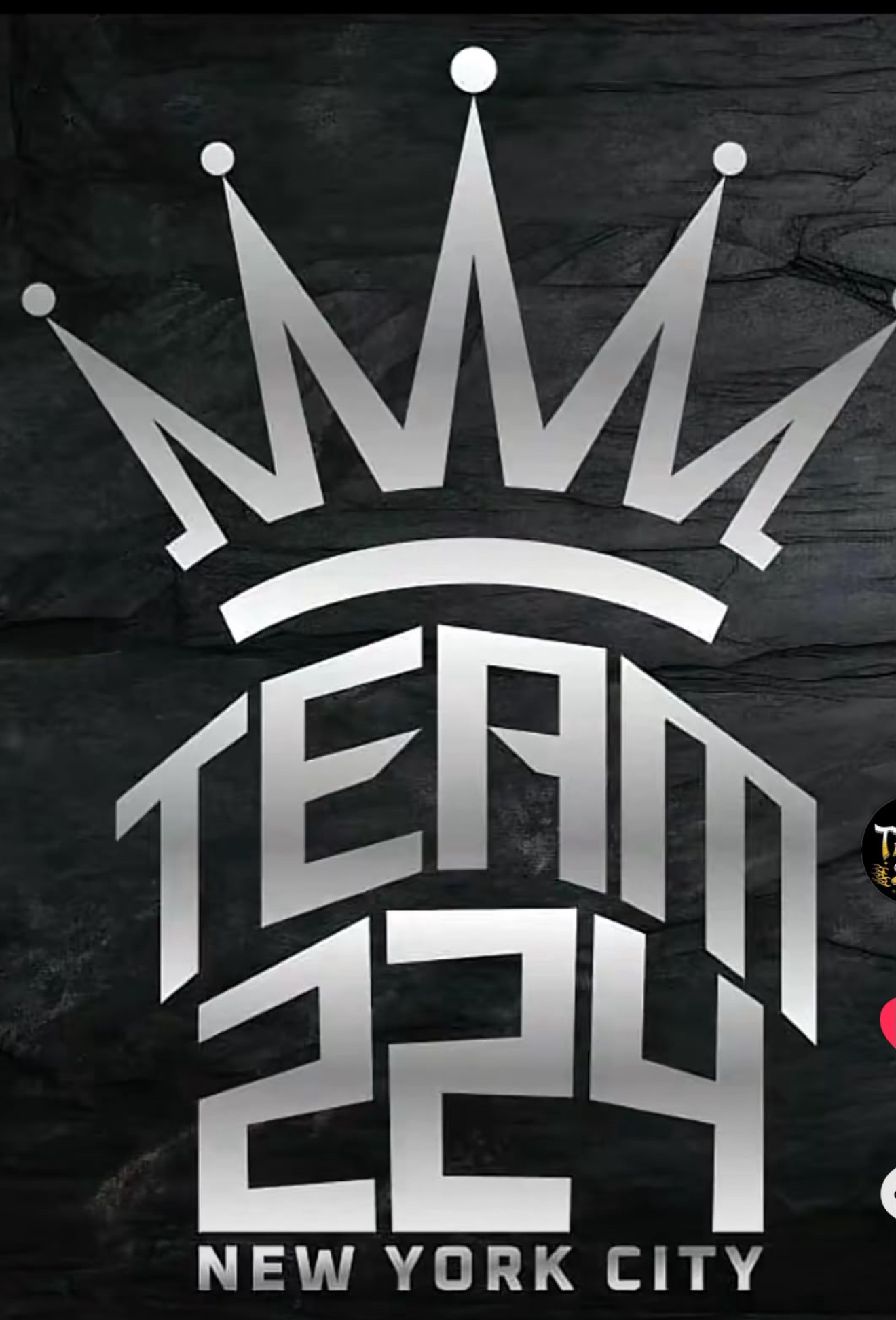 Team 224 NYC